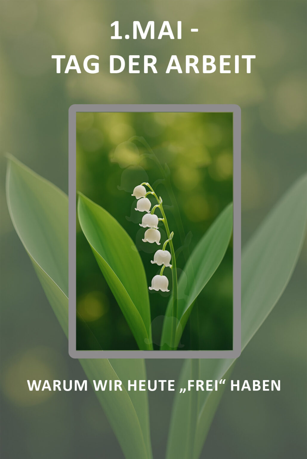 Bild von Blume Maiglöckchen zum ersten Mai Tag der Arbeit